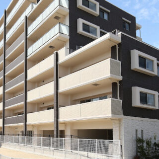 レクシア長嶺南（2018）